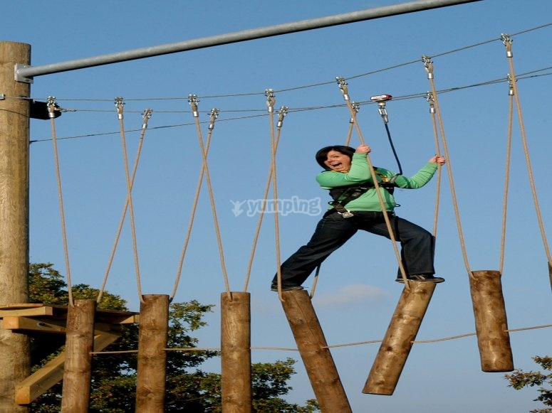 Wired High Ropes High Ropes